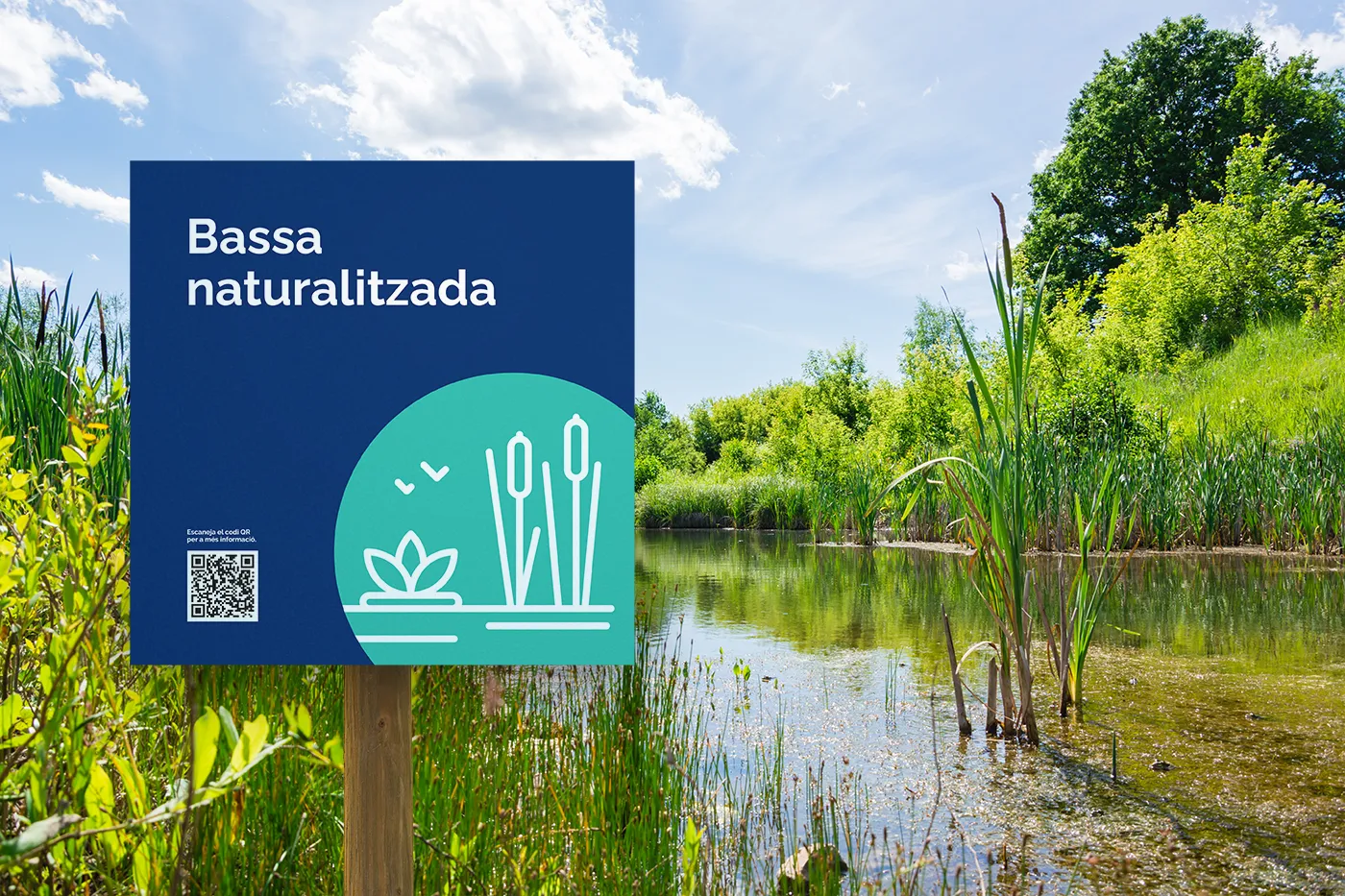 Bassa-Naturalitzada_Cartell+AB
